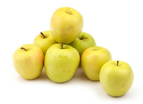 تصویر 4 از خرید سیب زرد استخوانی + قیمت فروش استثنایی